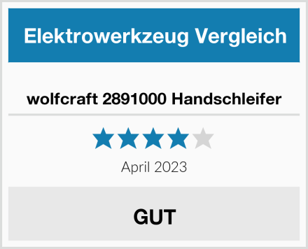  wolfcraft 2891000 Handschleifer Test