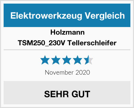 Holzmann TSM250_230V Tellerschleifer Test